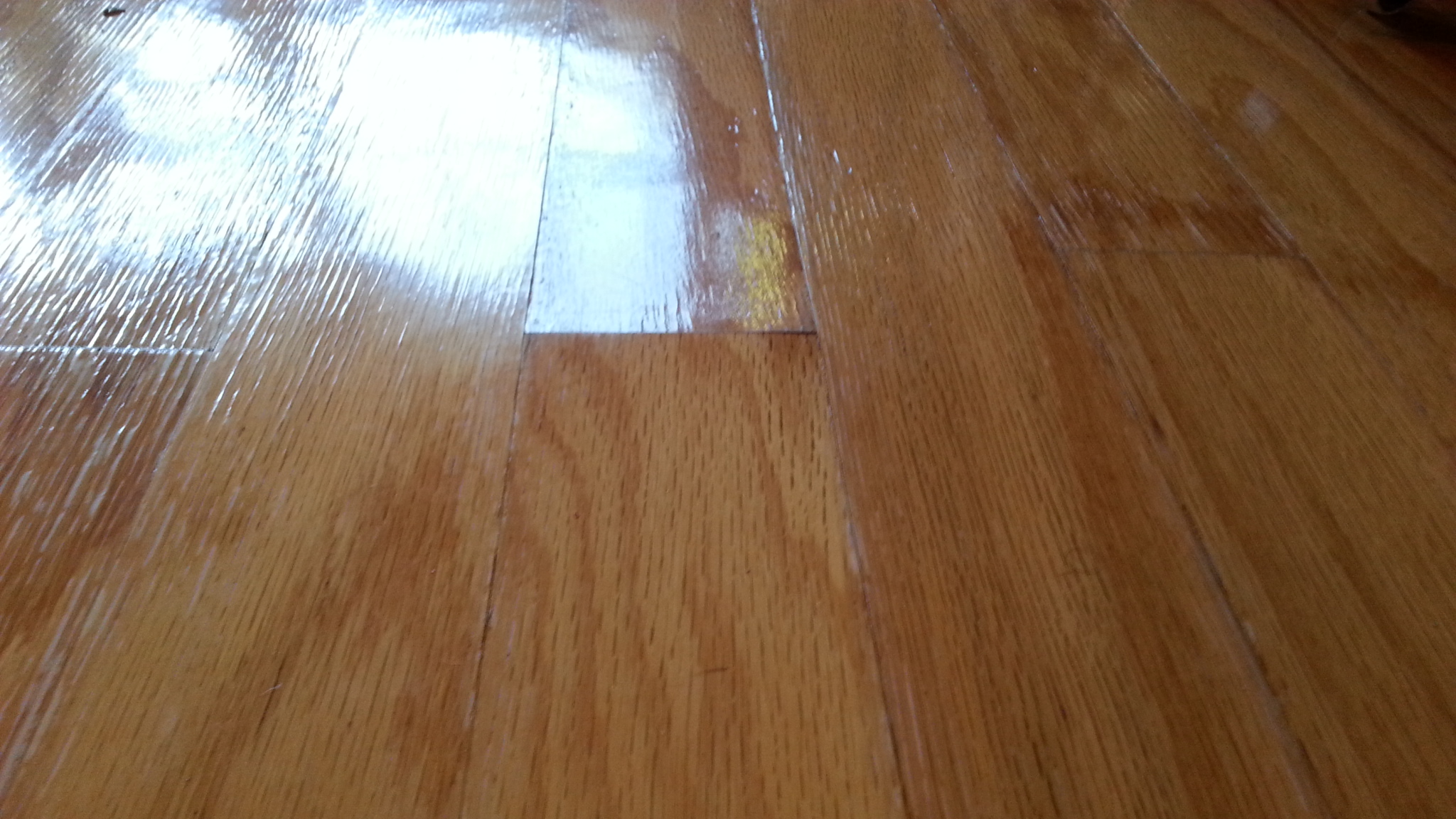 Engineered Hardwood Flooring Water Damage • Xactfloors